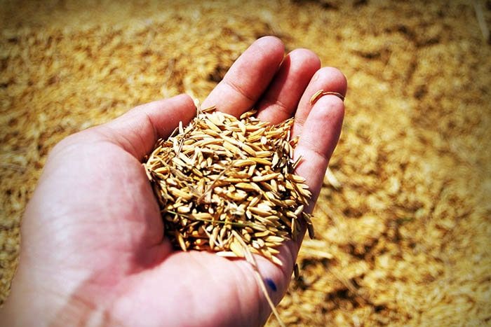 Assegurances Industria Alimentacio