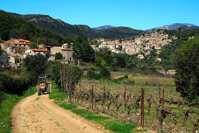 Vinyes Assegurances Vinyes